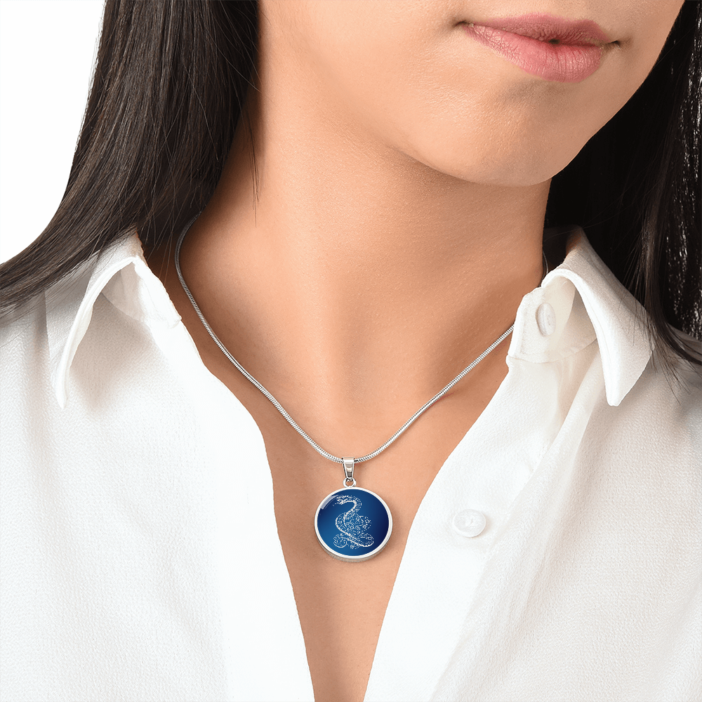 Chinese Zodiac Snake Necklace, Year of The Snake Necklace Gold, Personalized Chinese Zodiac Silver Pendant, 2025 Chinese Lunar New Year