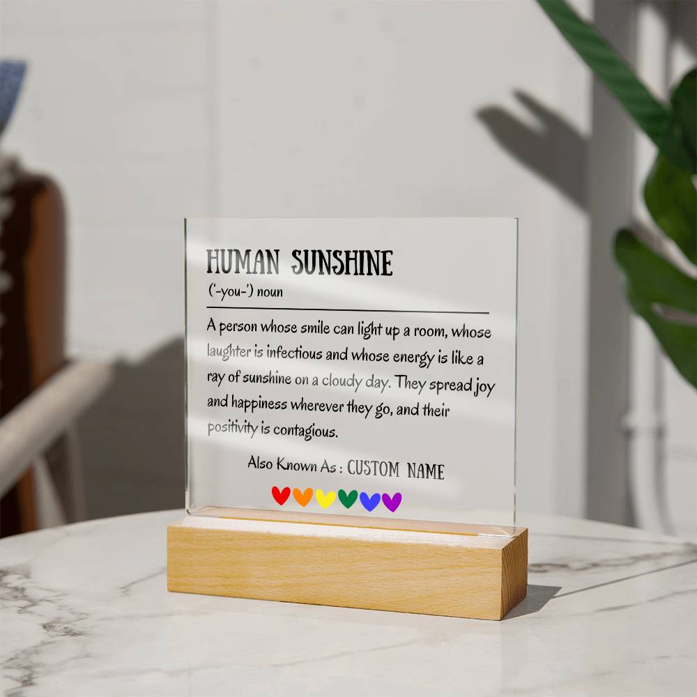 Human Sunshine Definition Gratitude Inspirational Motivational Gifts for Women Appreciation Gift for Teacher Friends Coworkers Doctor Nurse