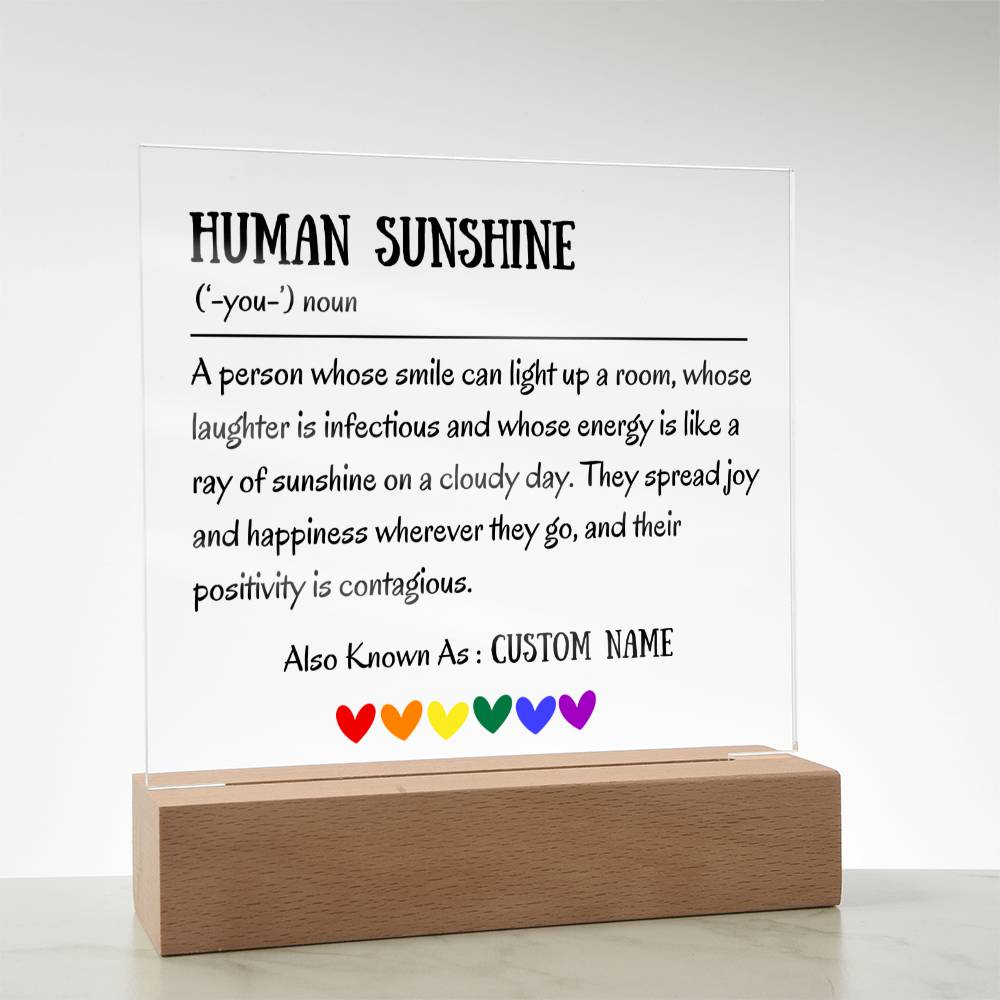 Human Sunshine Definition Gratitude Inspirational Motivational Gifts for Women Appreciation Gift for Teacher Friends Coworkers Doctor Nurse