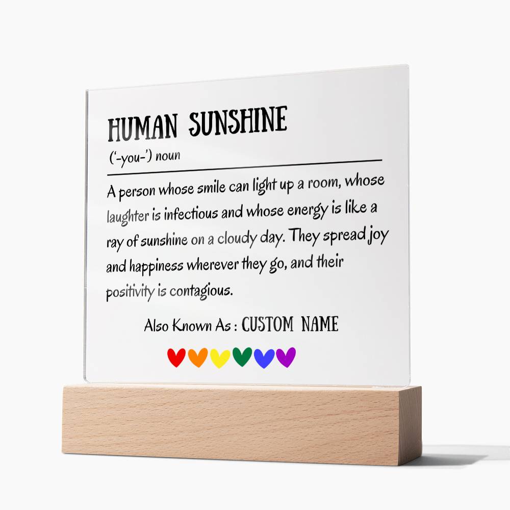 Human Sunshine Definition Gratitude Inspirational Motivational Gifts for Women Appreciation Gift for Teacher Friends Coworkers Doctor Nurse
