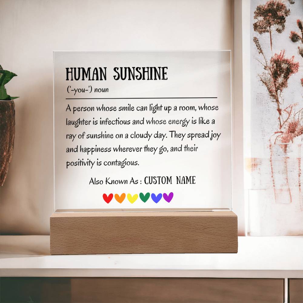 Human Sunshine Definition Gratitude Inspirational Motivational Gifts for Women Appreciation Gift for Teacher Friends Coworkers Doctor Nurse