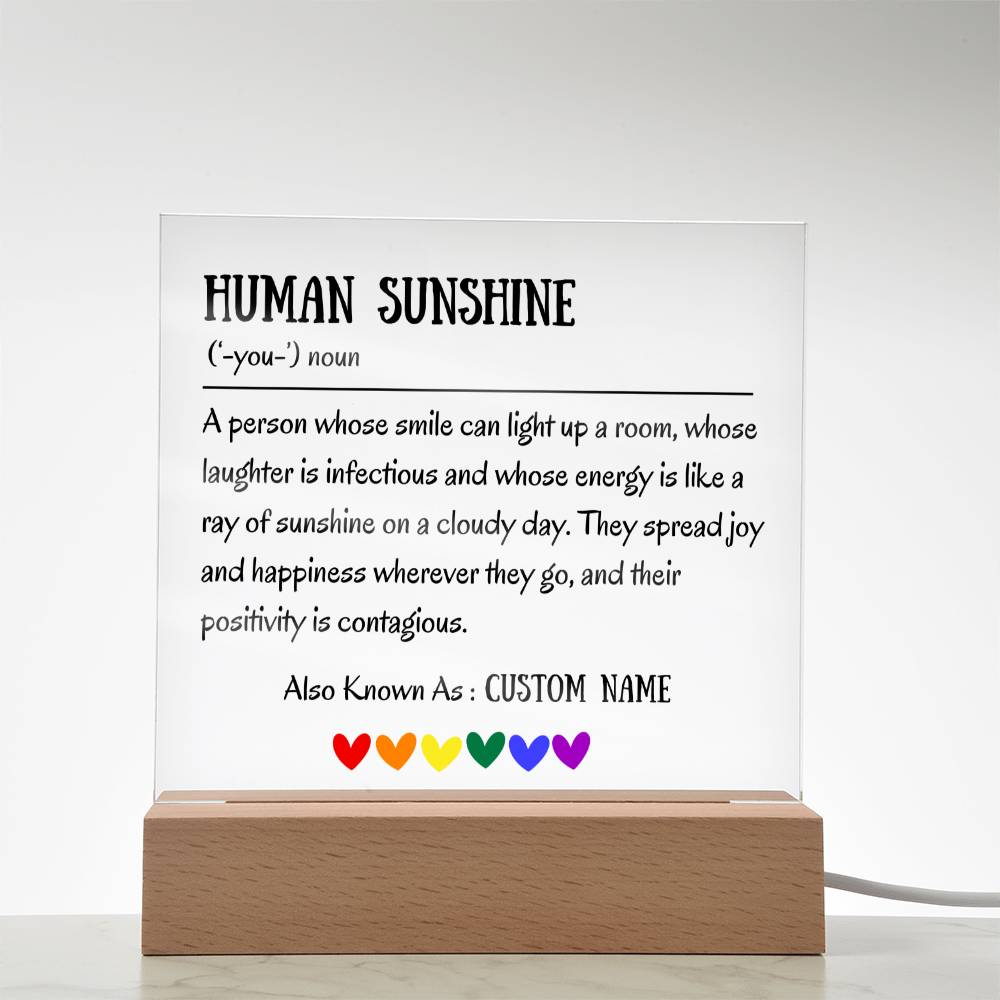 Human Sunshine Definition Gratitude Inspirational Motivational Gifts for Women Appreciation Gift for Teacher Friends Coworkers Doctor Nurse
