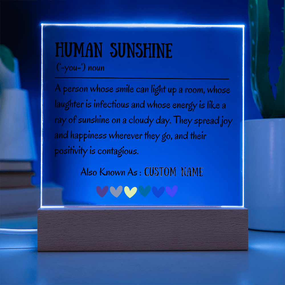 Human Sunshine Acrylic Plaque, Personalized Appreciation Gift for Women, Teacher Thank You Gift, Coworker Friendship Gift, Nurse Doctor Gift