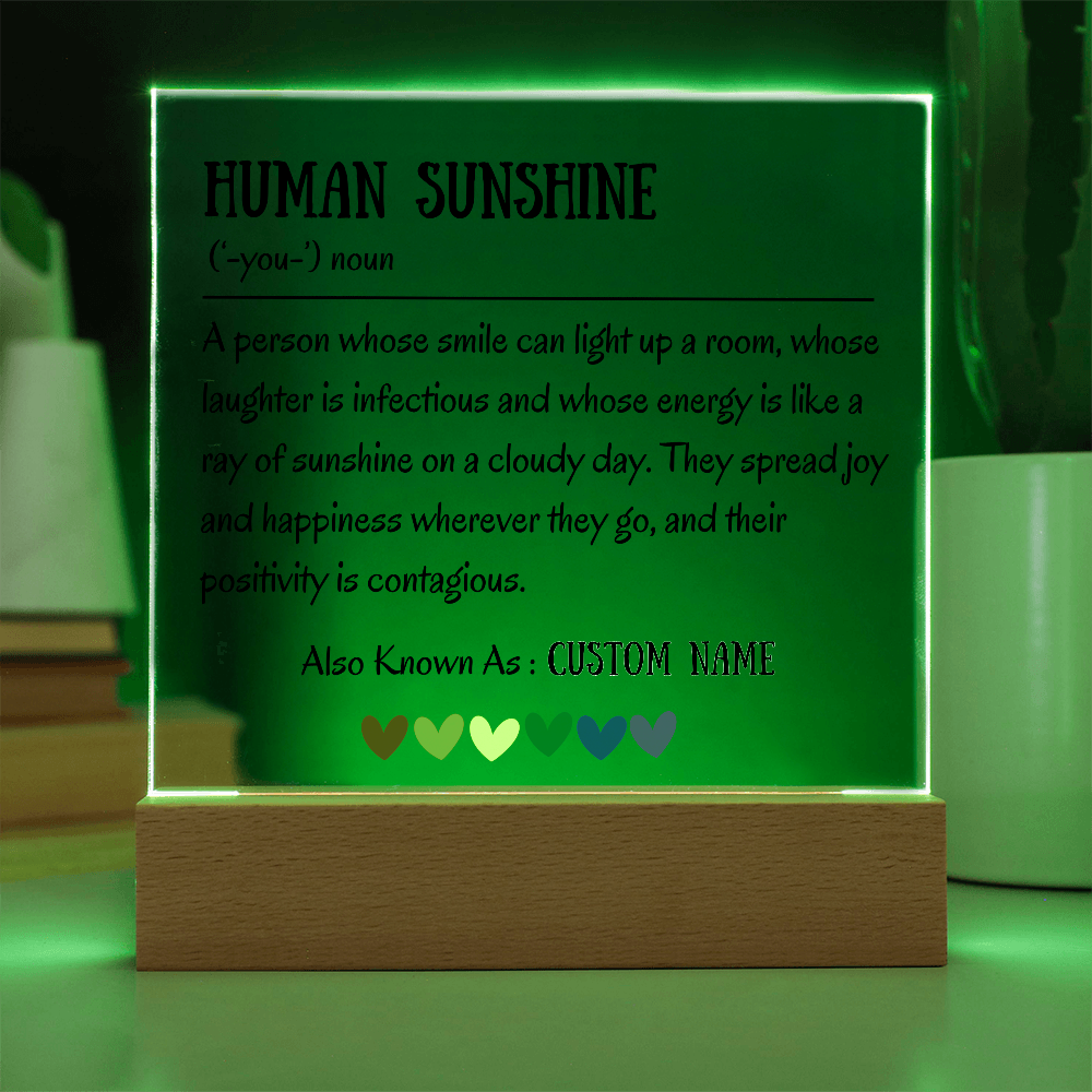 Human Sunshine Acrylic Plaque, Personalized Appreciation Gift for Women, Teacher Thank You Gift, Coworker Friendship Gift, Nurse Doctor Gift